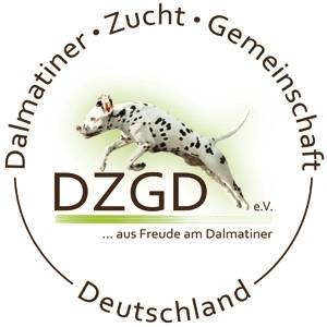 Dalmatiner de Salmeron - Wissenswertes über die Rasse Dalmatiner